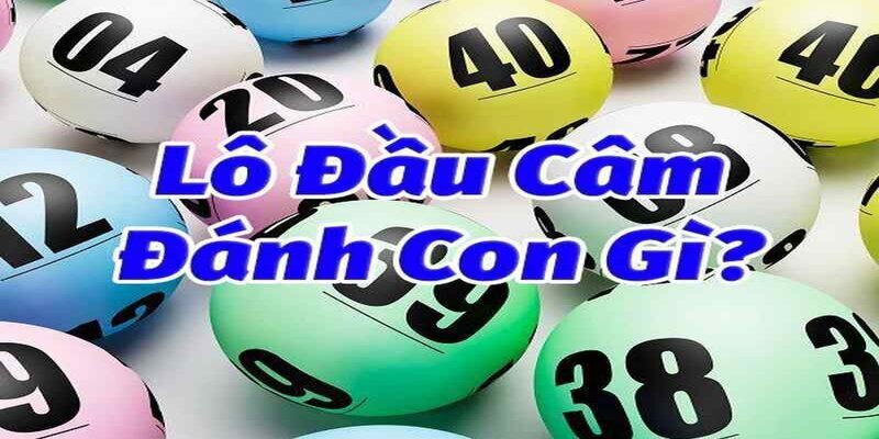Lô Đầu Câm Hôm Sau Đánh Con Gì – Cách Đánh Chuẩn Xác 2024