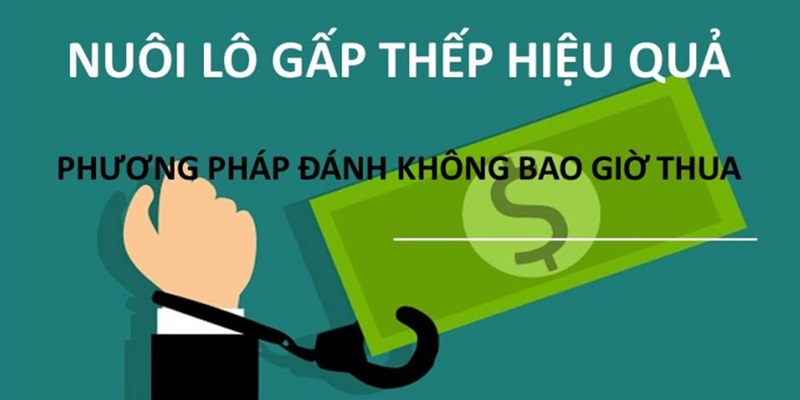 Lô gấp thếp là gì?