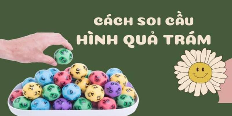 Cách Đánh Lô Hình Quả Trám Hiệu Quả Nhất Cho Tân Thủ