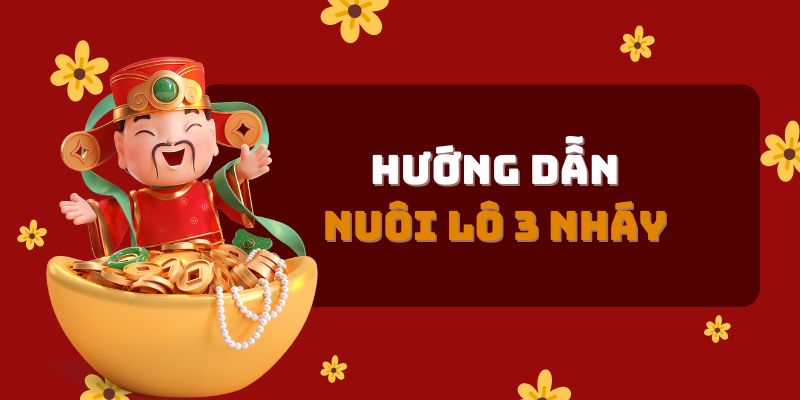 Chỉ dẫn cách nuôi lô 3 nháy cực hiệu quả