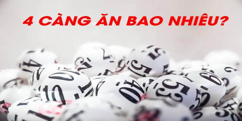Đề 4 Càng Ăn Bao Nhiêu? Mẹo Soi Cầu Hiệu Quả Nhất 2024