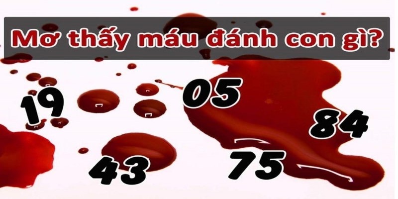 Giải Đáp Ngủ Mơ Thấy Máu Đánh Số Mấy Khi Tham Gia Lô Đề