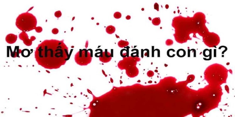 Giải đáp ngủ mơ thấy máu đánh số mấy thông qua vị trí chảy máu