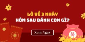 Lô Về 3 Nháy Hôm Sau Đánh Con Gì Để Đếm Tiền Mỏi Tay