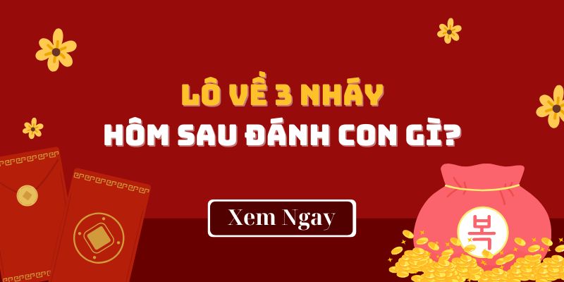 Lô Về 3 Nháy Hôm Sau Đánh Con Gì Để Đếm Tiền Mỏi Tay