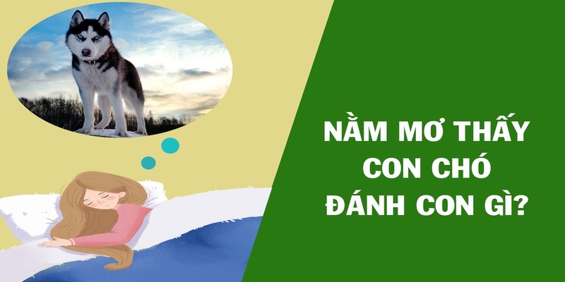 Ngủ Mơ Thấy Chó Đánh Số Mấy - Giải Mã Ngay Để Thắng Lớn