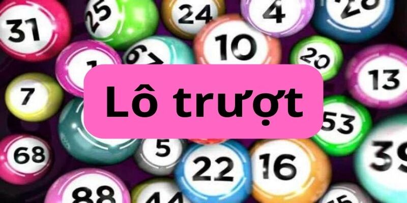 Những loại lô trượt được yêu thích nhất hiện nay