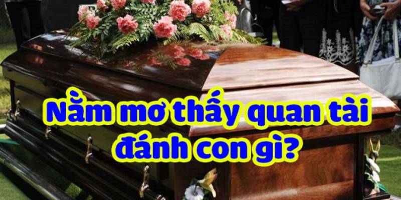 Phân Tích Chuẩn Xác Nằm Mơ Thấy Quan Tài Đánh Số Gì May Mắn