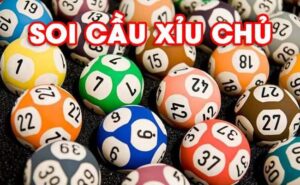Tìm Hiểu Xỉu Chủ Là Gì? Cách Đánh Xỉu Chủ Hiệu Quả 