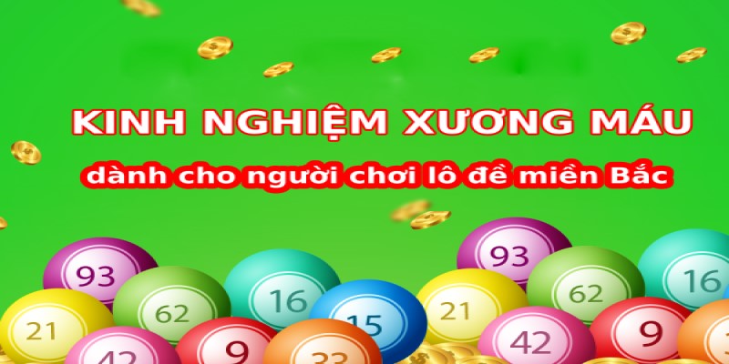 Top Những Kinh Nghiệm Soi Cầu Lô Cực Kỳ Hay Và Hiệu Quả 